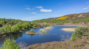 Plot for sale in  Drumnadrochit photo